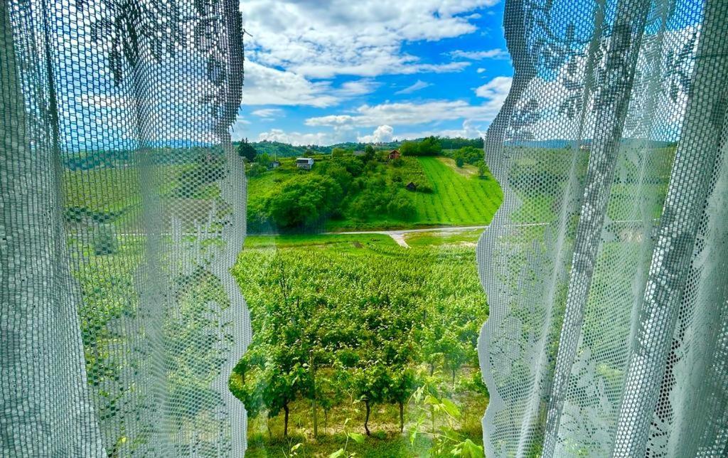 Apartment Wine Paradise Sveti Ivan Zelina Bagian luar foto