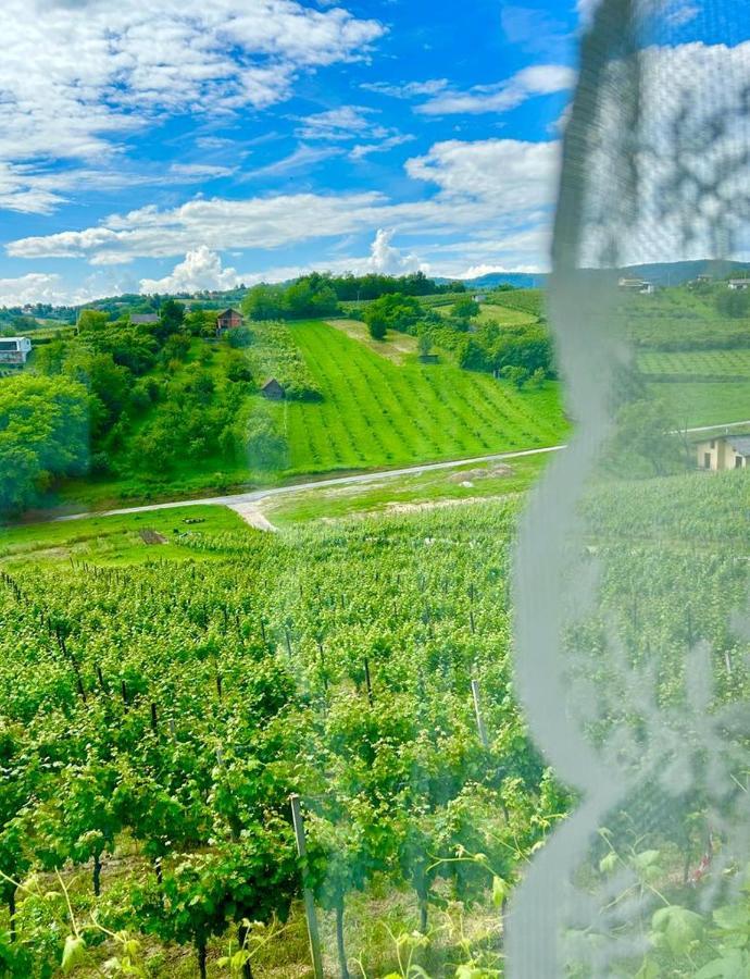 Apartment Wine Paradise Sveti Ivan Zelina Bagian luar foto