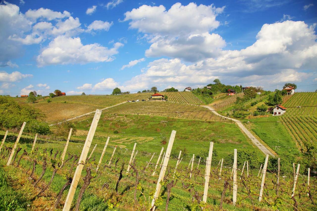 Apartment Wine Paradise Sveti Ivan Zelina Bagian luar foto