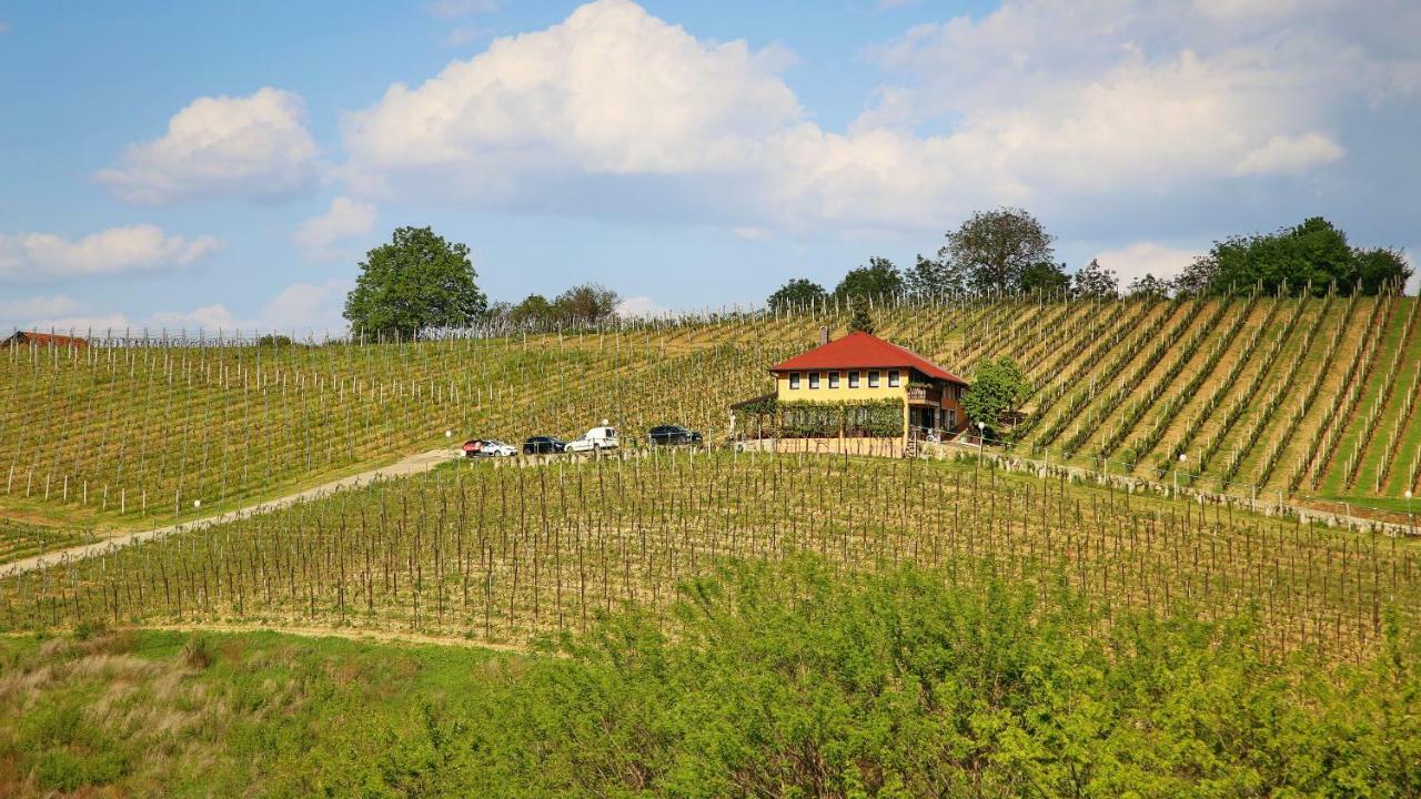 Apartment Wine Paradise Sveti Ivan Zelina Bagian luar foto